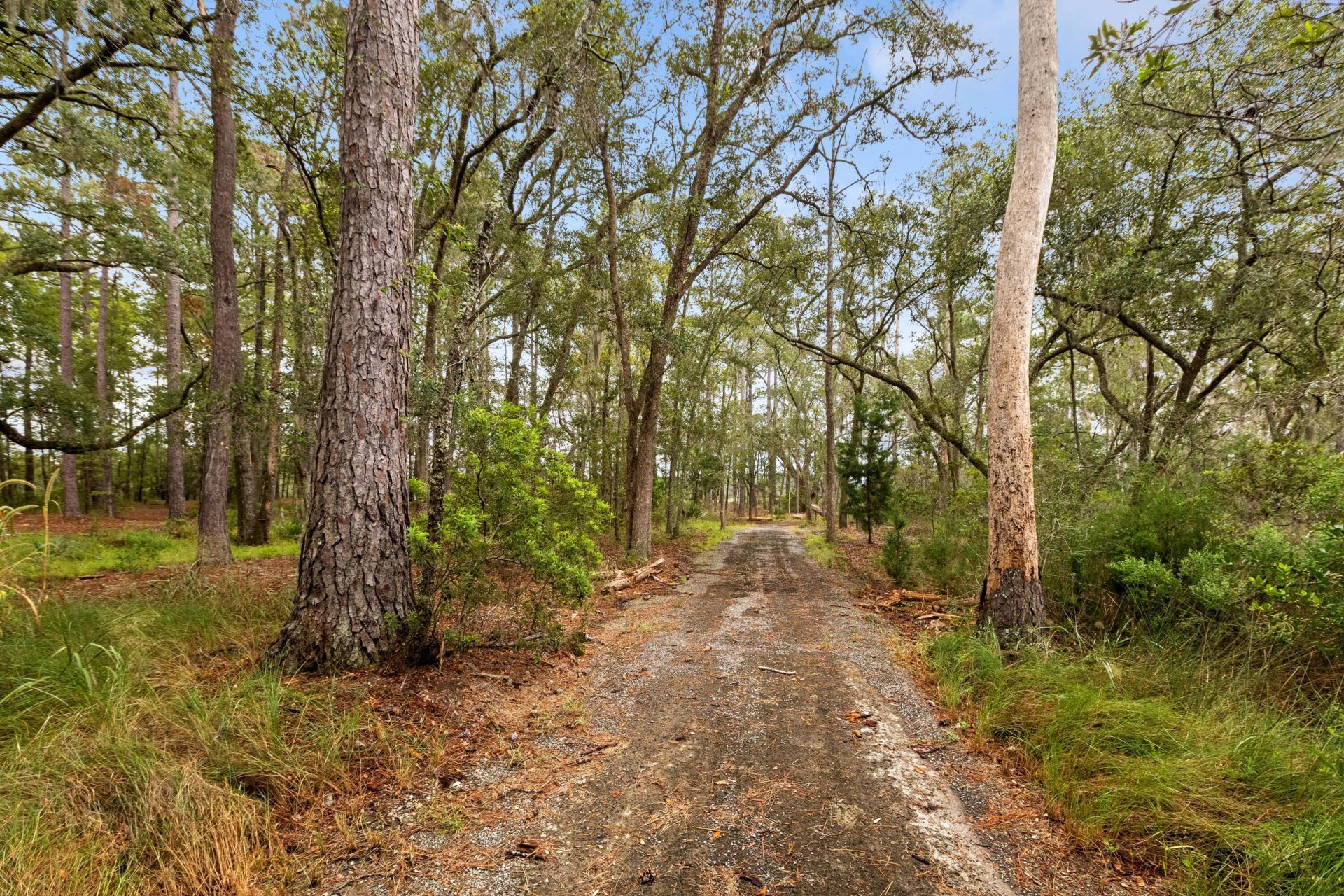 7721 Toogoodoo Road Photo 10