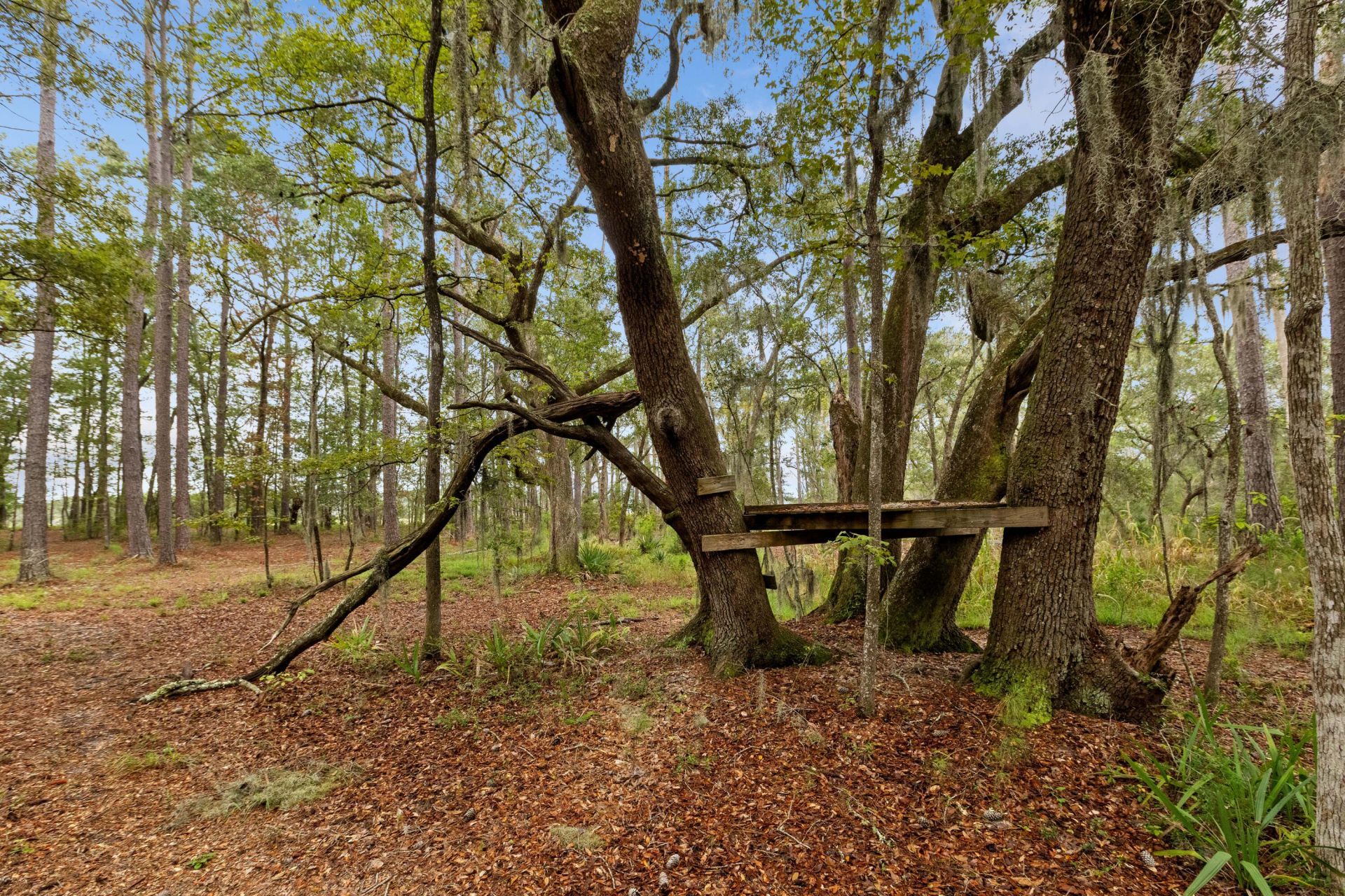 7721 Toogoodoo Road Photo 14