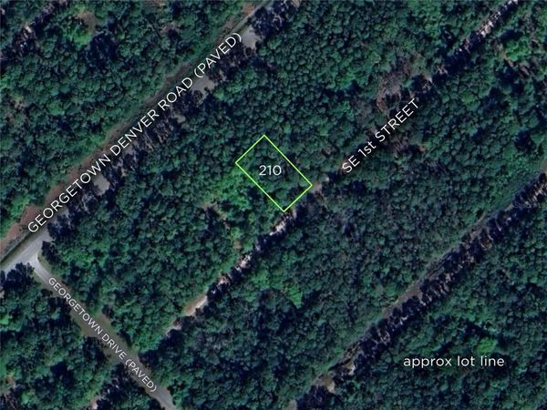 210 SE 1ST STREET , GEORGETOWN, FL 32139