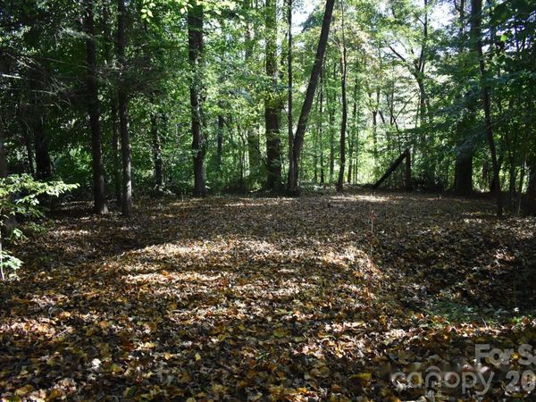 0 General Griffith Circle, Rutherfordton, NC 28139