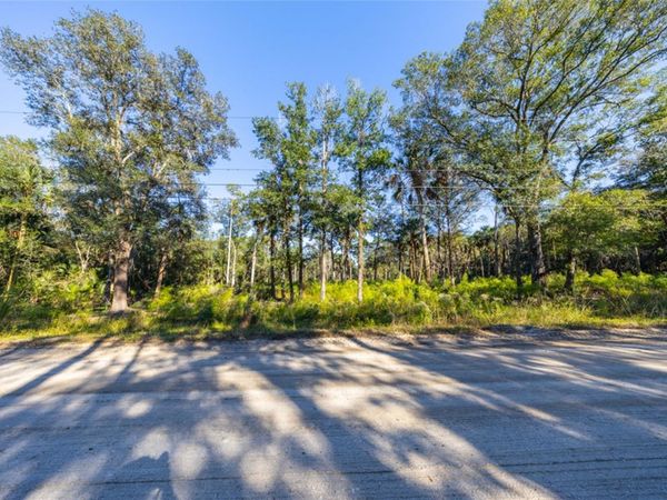 2075 BAYBERRY STREET , BUNNELL, FL 32110