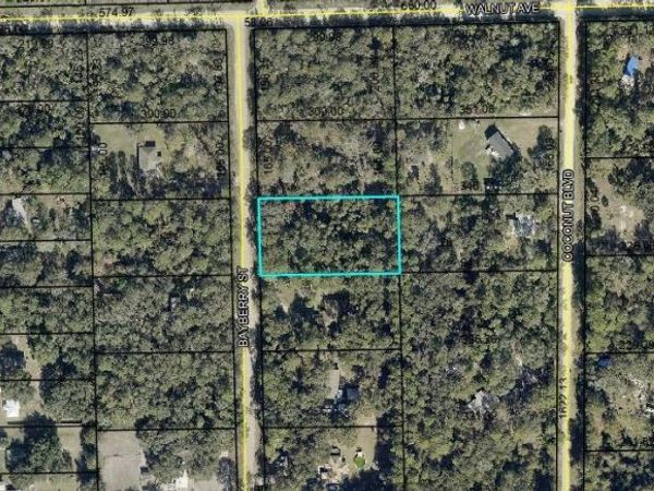 2107 BAYBERRY STREET , BUNNELL, FL 32110