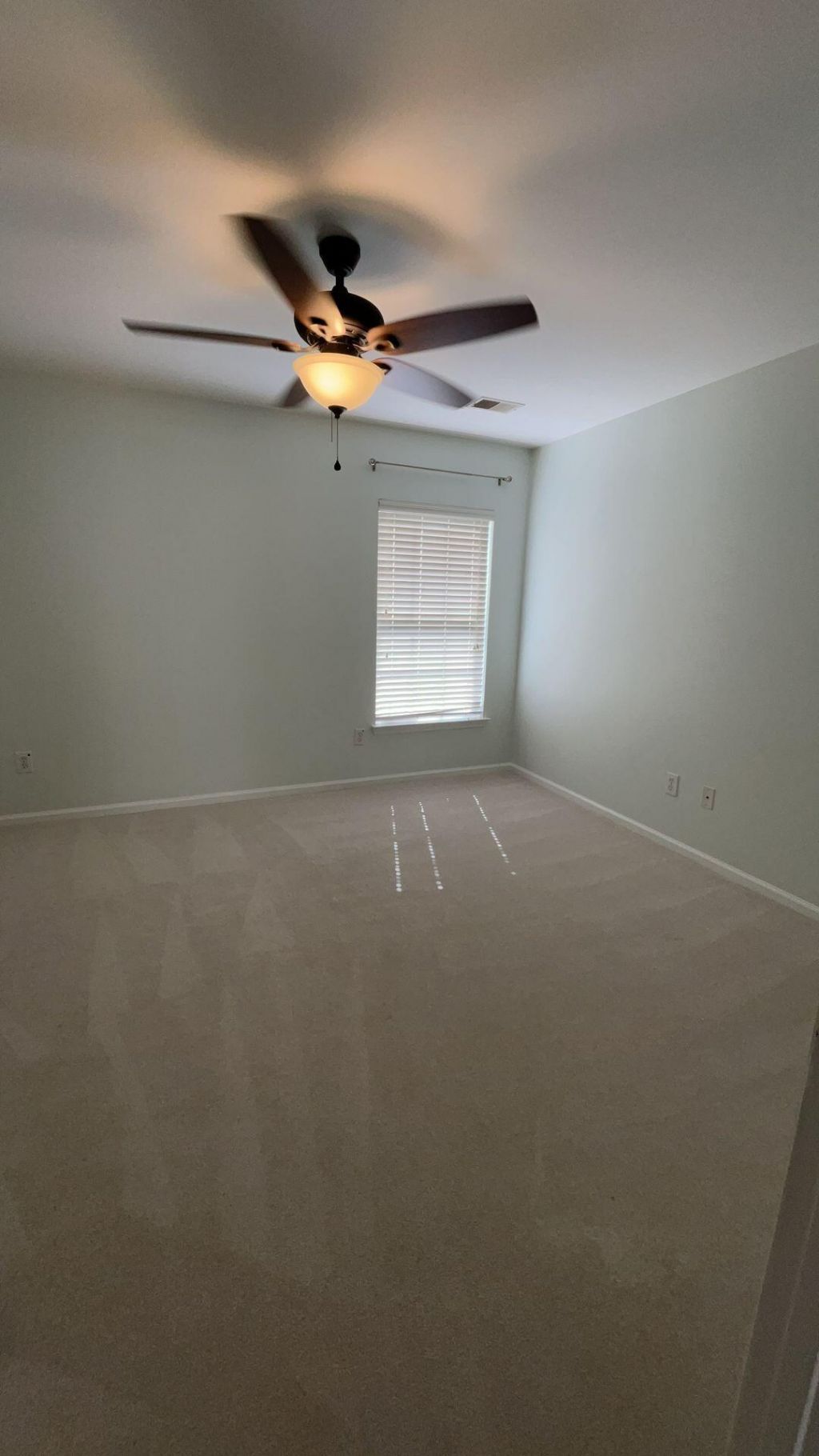 111 Wildberry Lane Photo 10