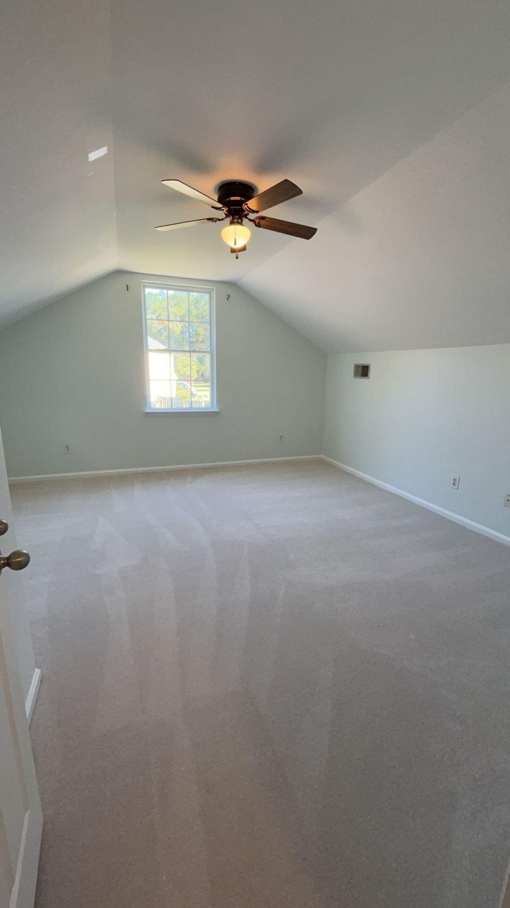 111 Wildberry Lane Photo 12