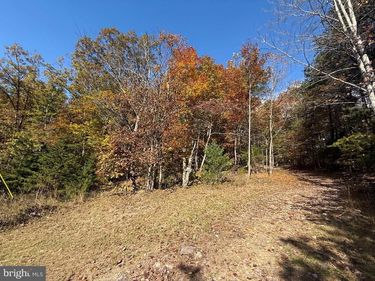 Lot 4 GRINDSTONE MOUNTAIN VIEW ROAD, ELKTON, VA 22827