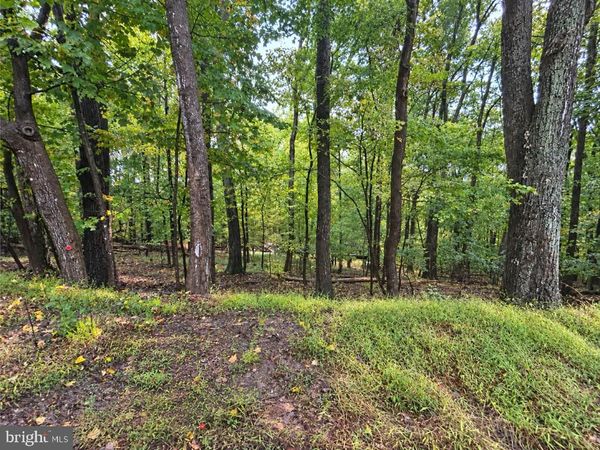 0 , ELKTON, VA 22827