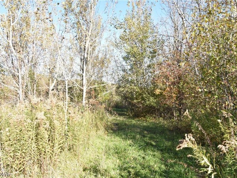 1438 S County Line Road, Geneva, OH 44041 Photo 13