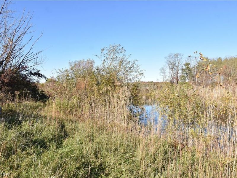 1438 S County Line Road, Geneva, OH 44041 Photo 14