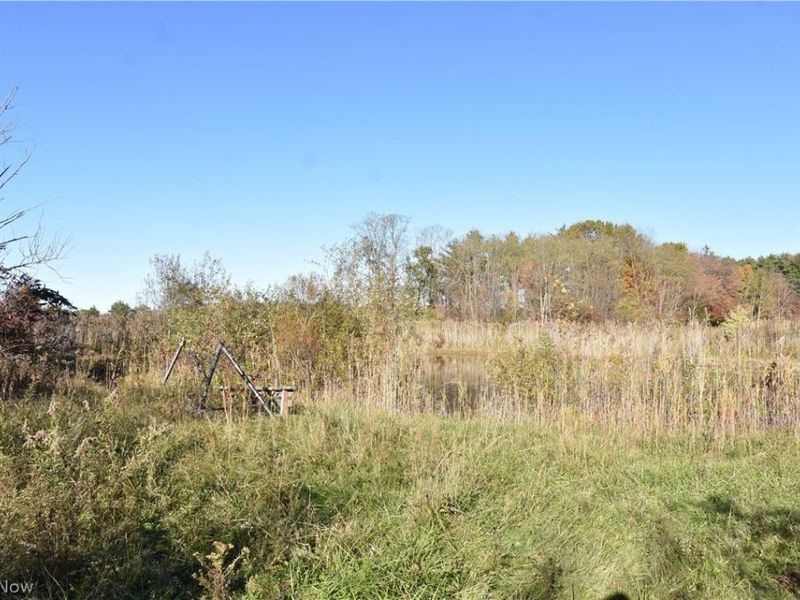 1438 S County Line Road, Geneva, OH 44041 Photo 15