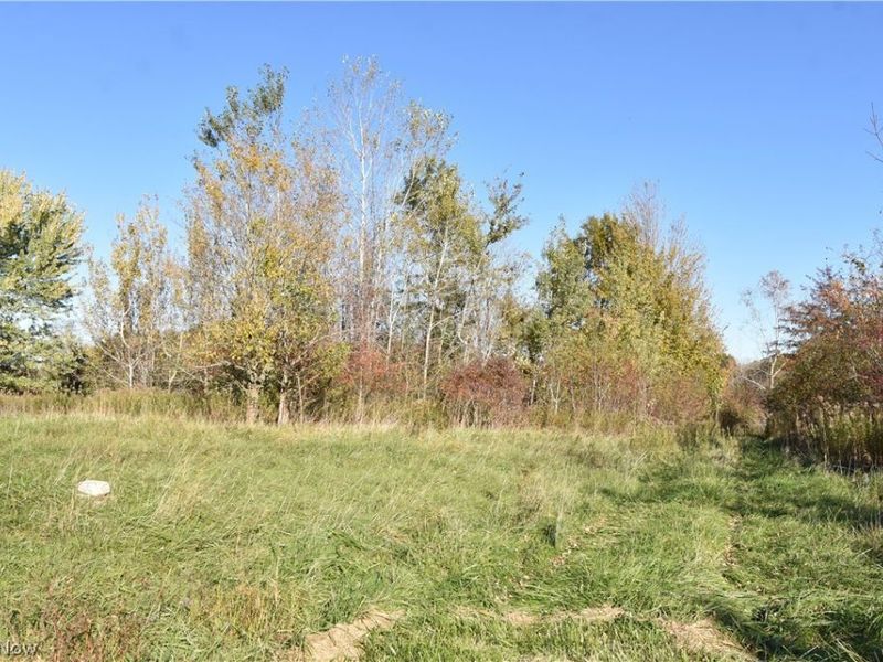 1438 S County Line Road, Geneva, OH 44041 Photo 9
