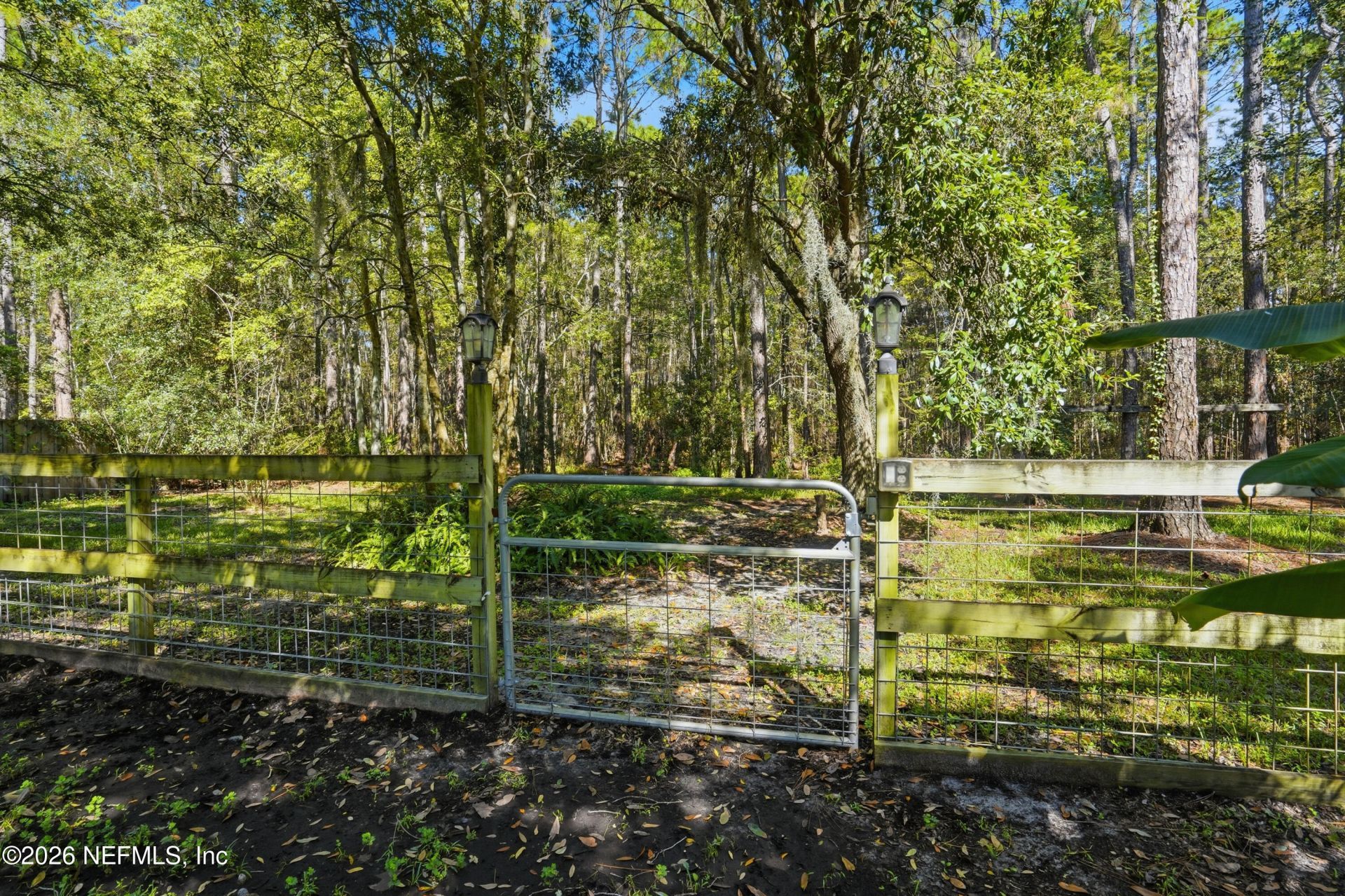 10255 Hamlet Glen Drive, Jacksonville, FL 32221 Photo