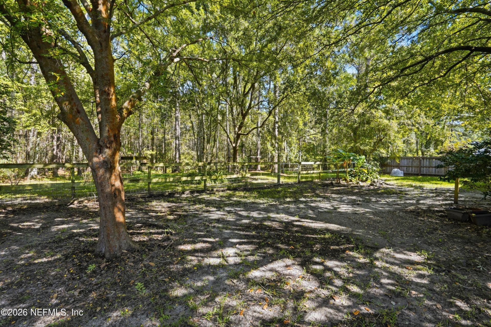 10255 Hamlet Glen Drive, Jacksonville, FL 32221 Photo
