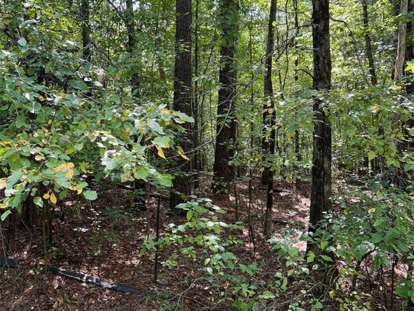 TBD Sanctuary Lane , Lilesville, NC 28091