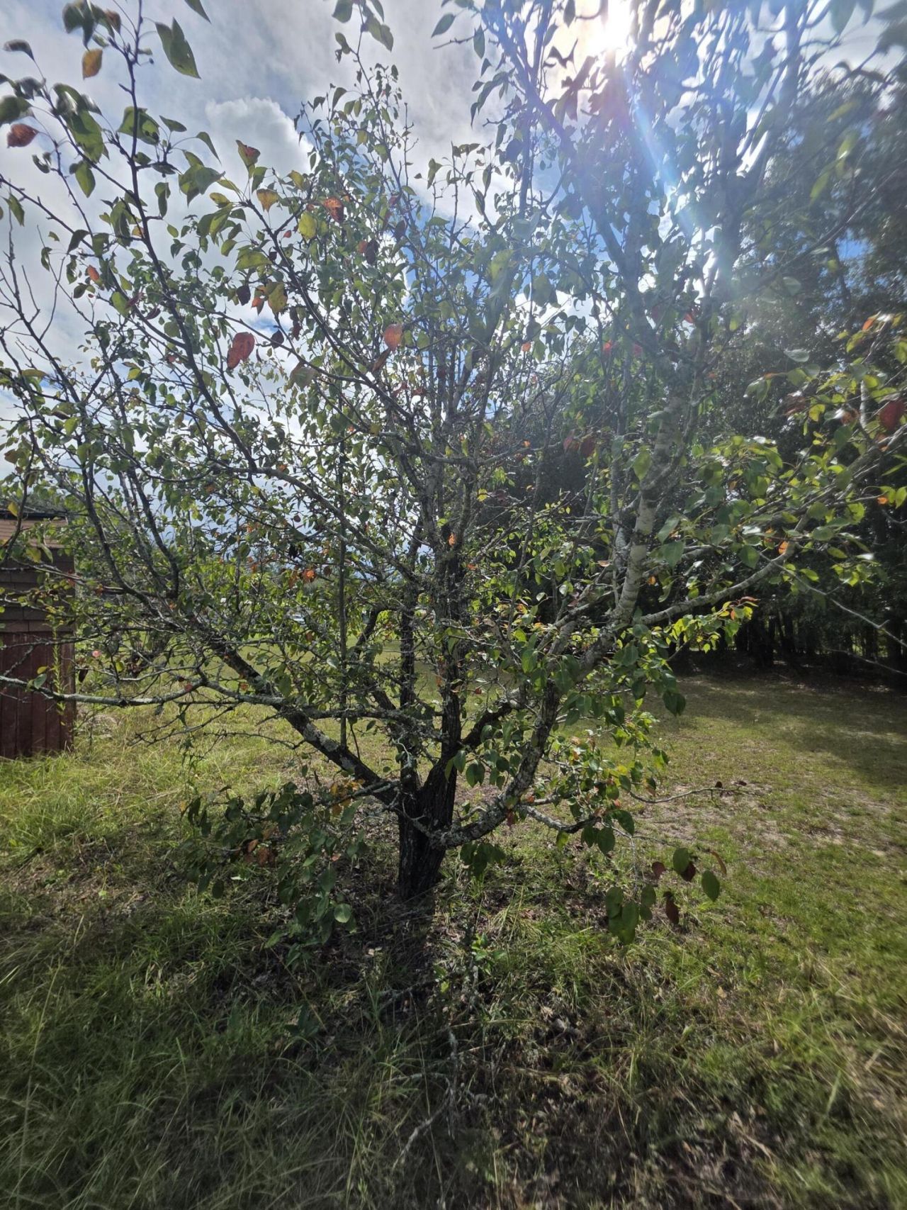177 Stumphole Road Photo 45