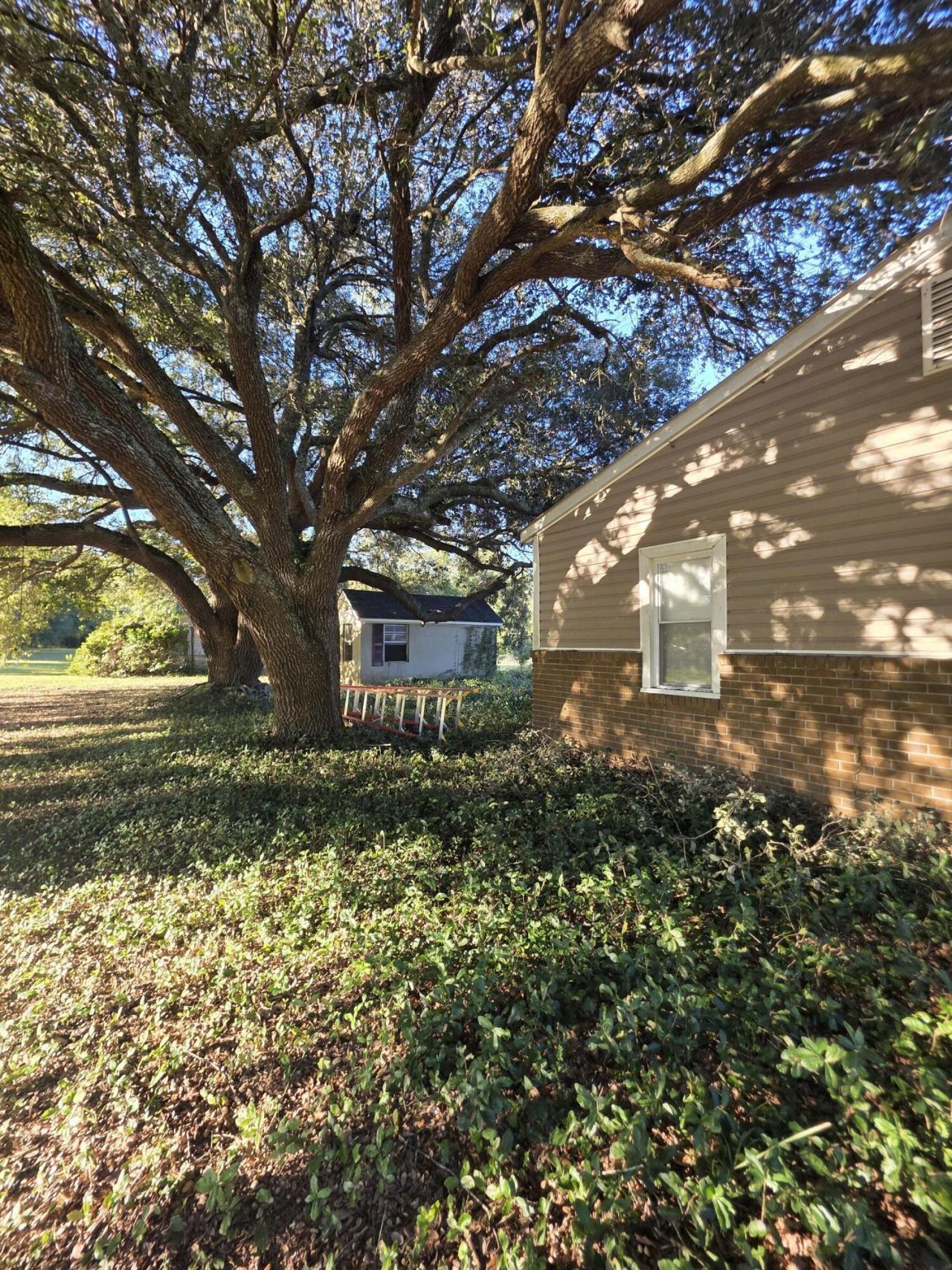 177 Stumphole Road Photo 5