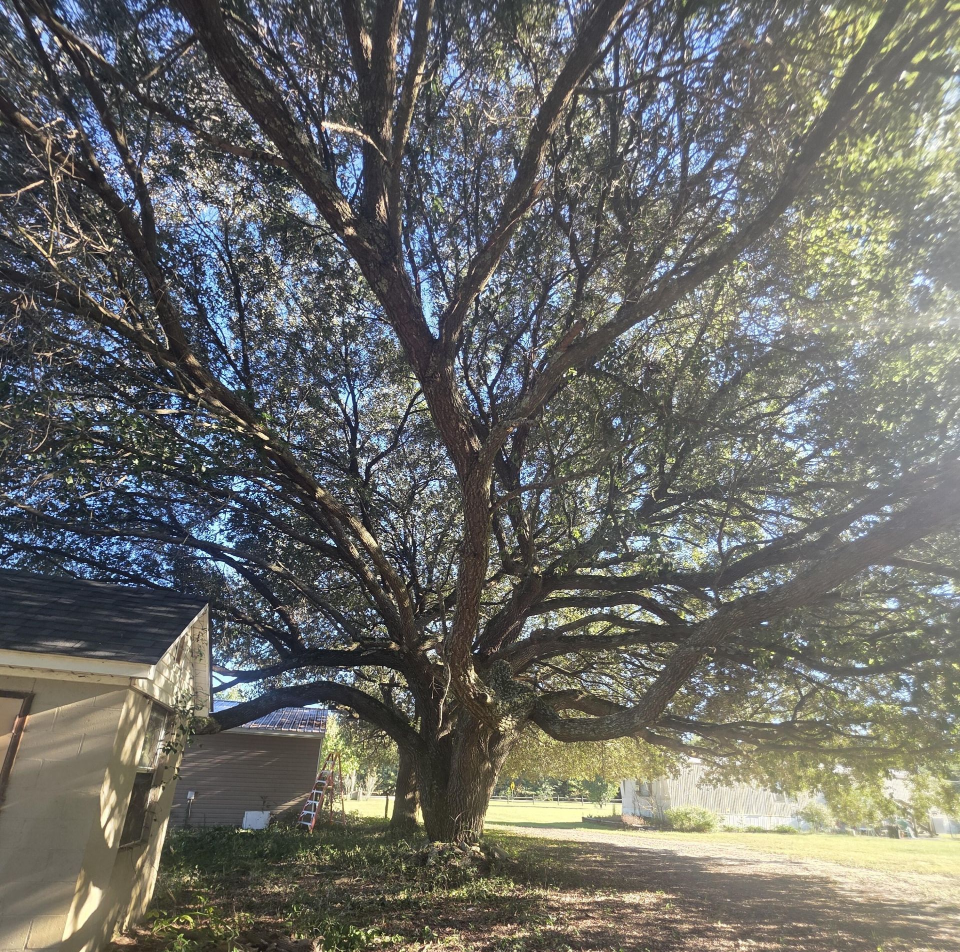 177 Stumphole Road Photo 64
