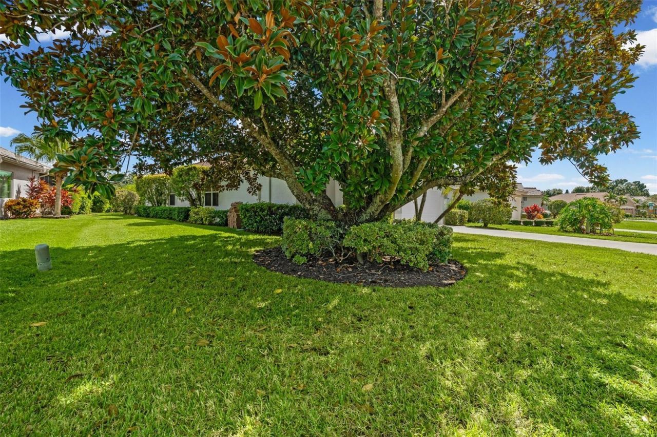 7164 Drewrys Bluff, Bradenton, FL 34203 Photo