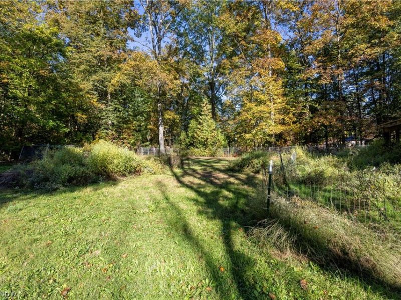 9328 Rawiga Road, Seville, OH 44273 Photo 3