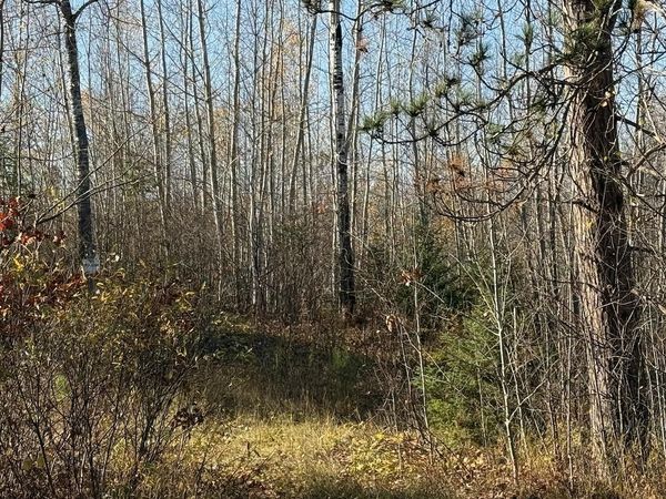 93359 Mn-23 , Holyoke, MN 55749