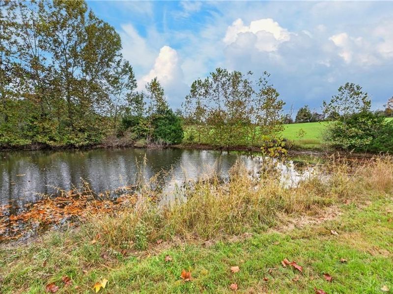 2769 state route 73, Hillsboro, OH 45133 Photo 31