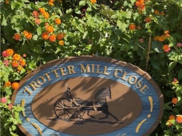 10 Trotter Mill Close , Unit 10, Ashland, VA 23005