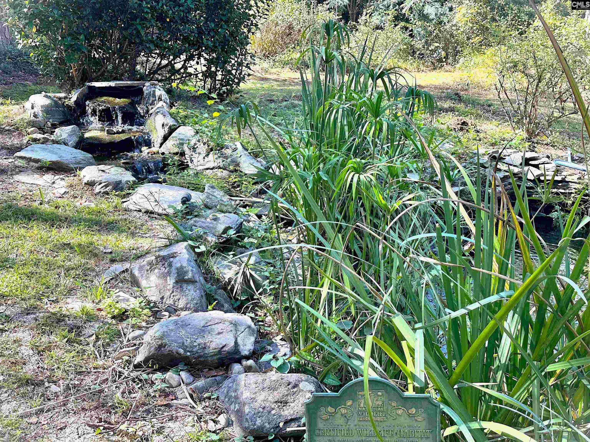 229 Holliday Road  Photo 4