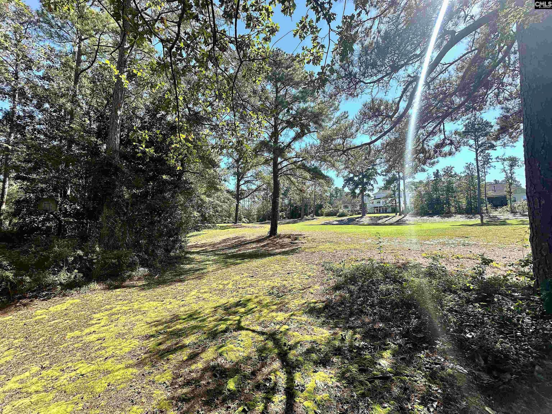 229 Holliday Road  Photo 5
