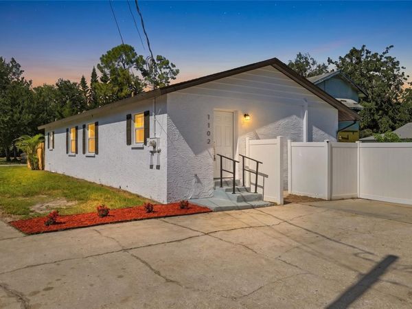 1102 E SITKA STREET , TAMPA, FL 33604