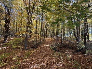 700 County Route 22a , Sandy Creek, NY 13145