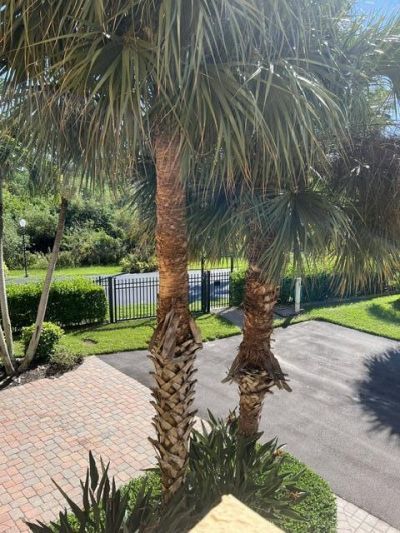 234 Ocean Bay Drive, Unit 234, Jensen Beach, FL 34957 Photo