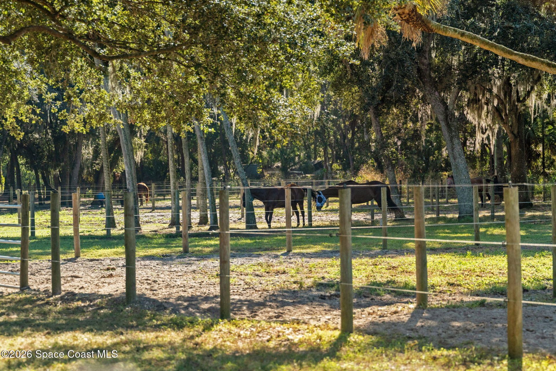 4630 James Road , Cocoa, FL 32926 Photo
