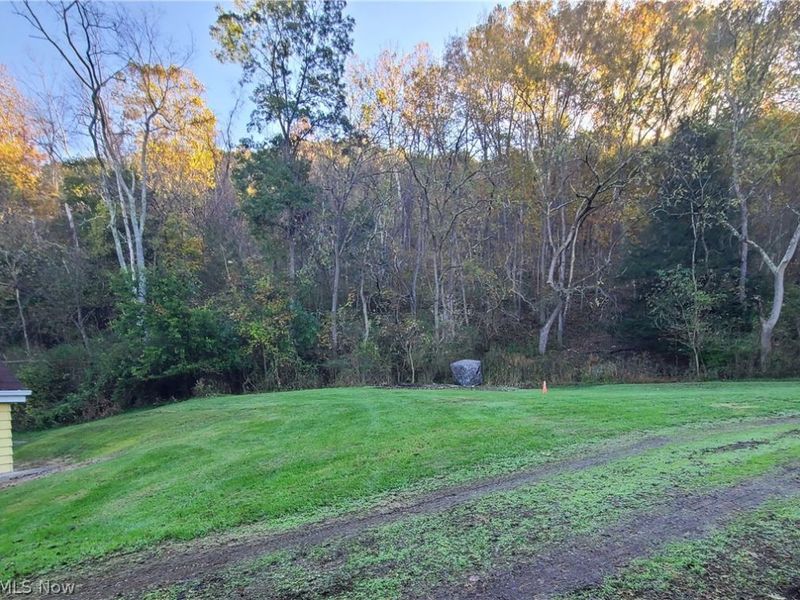 668 Dolezal Road, Dillonvale, OH 43917 Photo 38