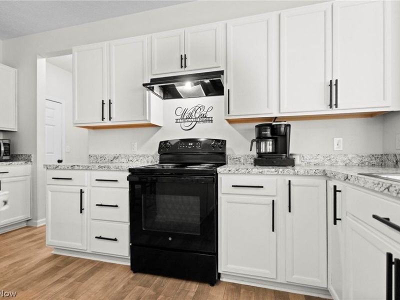 37220 White Feather Avenue, North Ridgeville, OH 44039 Photo 8