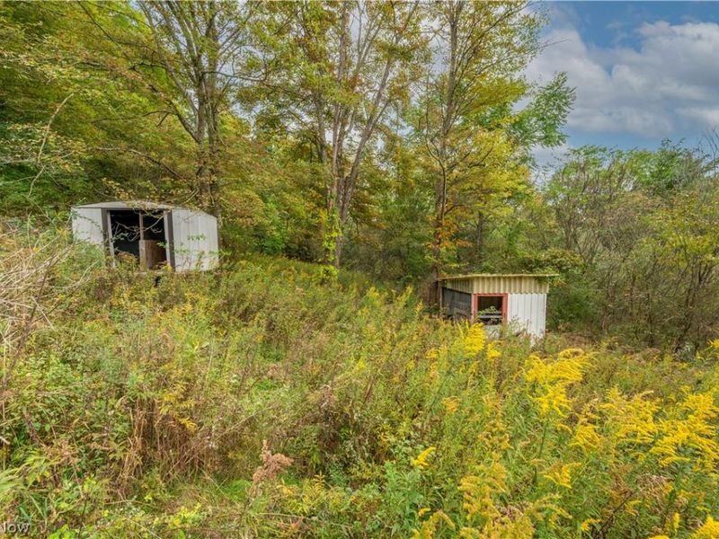 5540 State Route 170, East Palestine, OH 44413 Photo 28