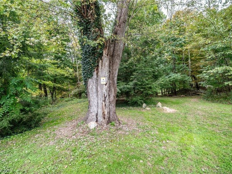 5540 State Route 170, East Palestine, OH 44413 Photo 35