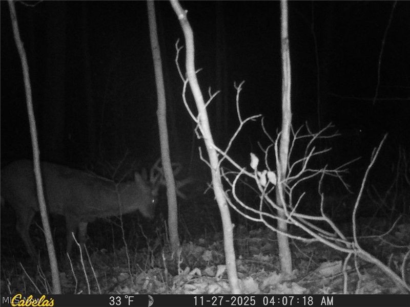 5540 State Route 170, East Palestine, OH 44413 Photo 37