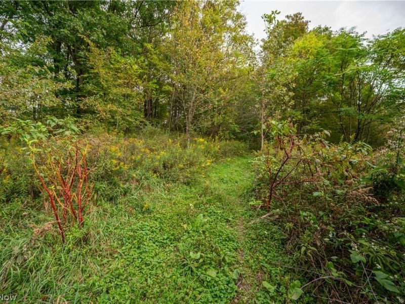 5540 State Route 170, East Palestine, OH 44413 Photo 39