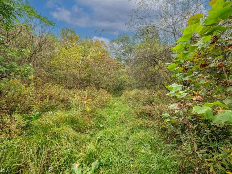 5540 State Route 170, East Palestine, OH 44413 Photo 42