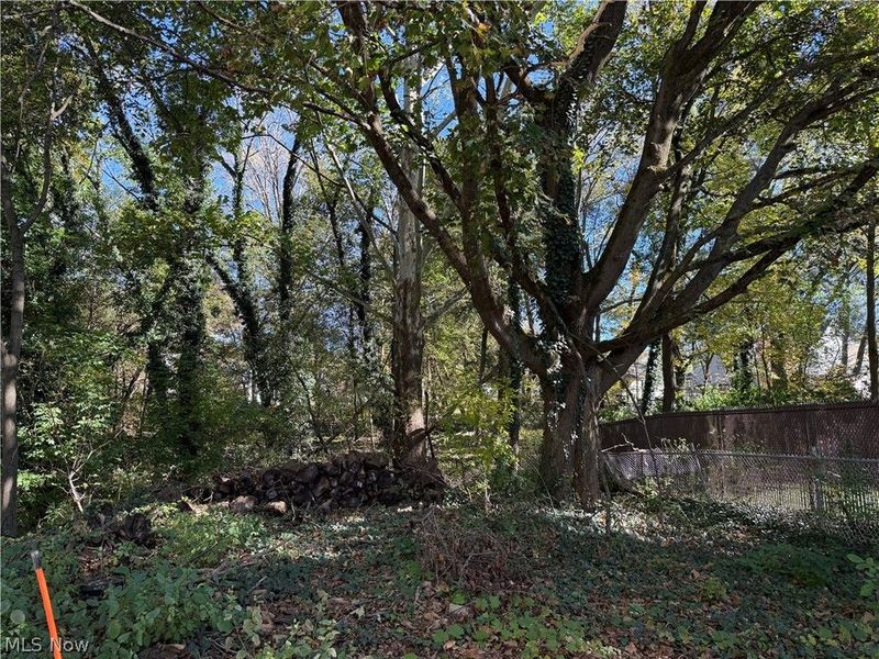 3307 Sheridan Road , Youngstown, OH 44502 Photo 6