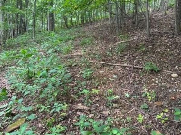 0 Threadway Ridge Drive, Moravian Falls, NC 28654