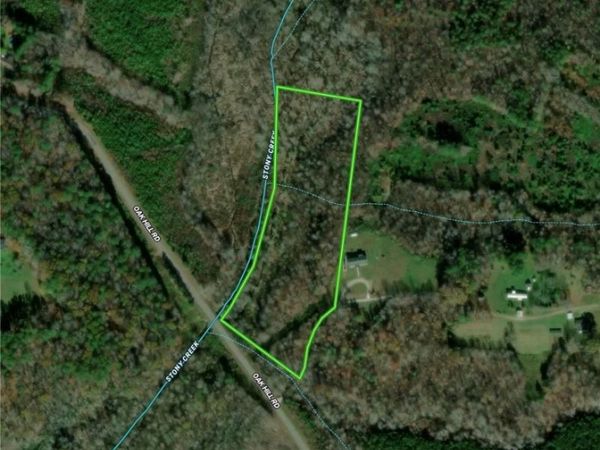 1 Ellis Lane , Kenbridge, VA 23944