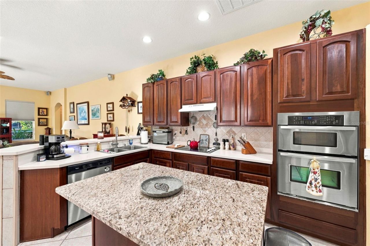 23442 Vistamar Court , Land O Lakes, FL 34639 Photo