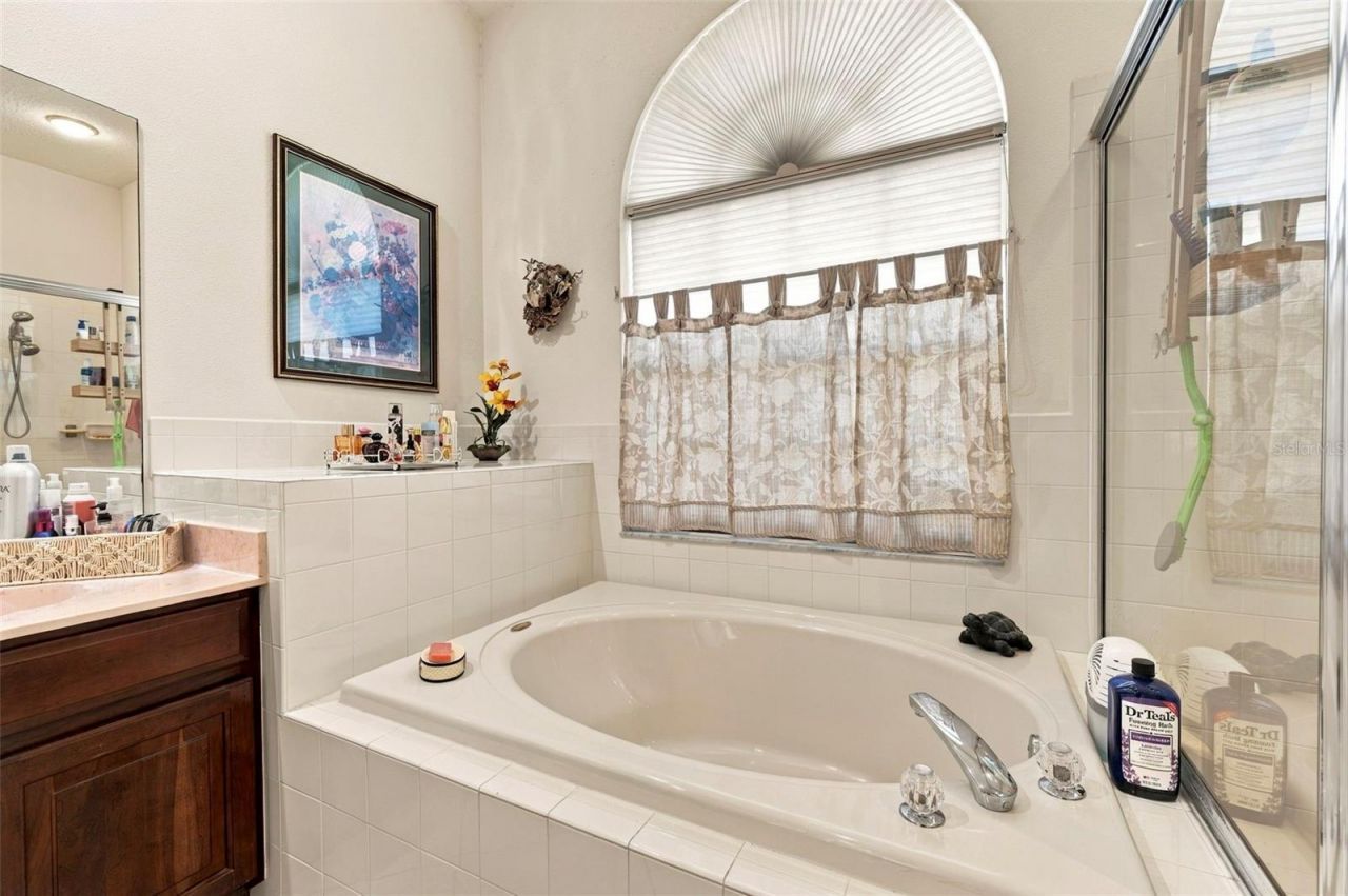 23442 Vistamar Court , Land O Lakes, FL 34639 Photo