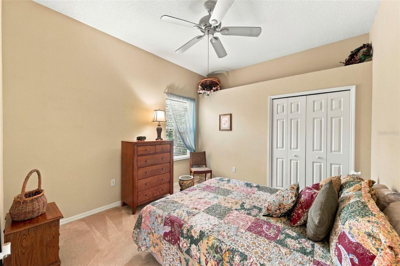 23442 Vistamar Court , Land O Lakes, FL 34639 Photo