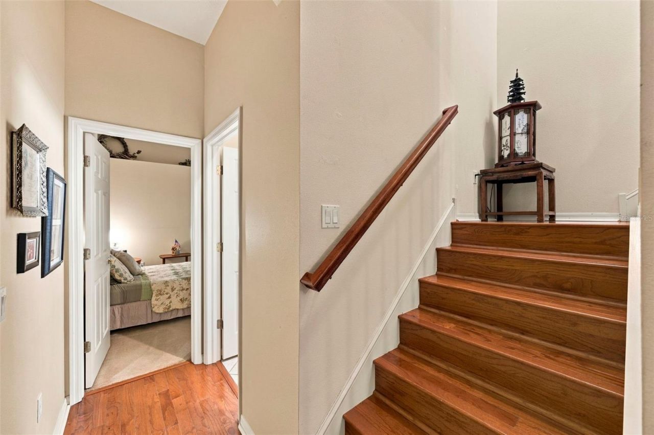 23442 Vistamar Court , Land O Lakes, FL 34639 Photo