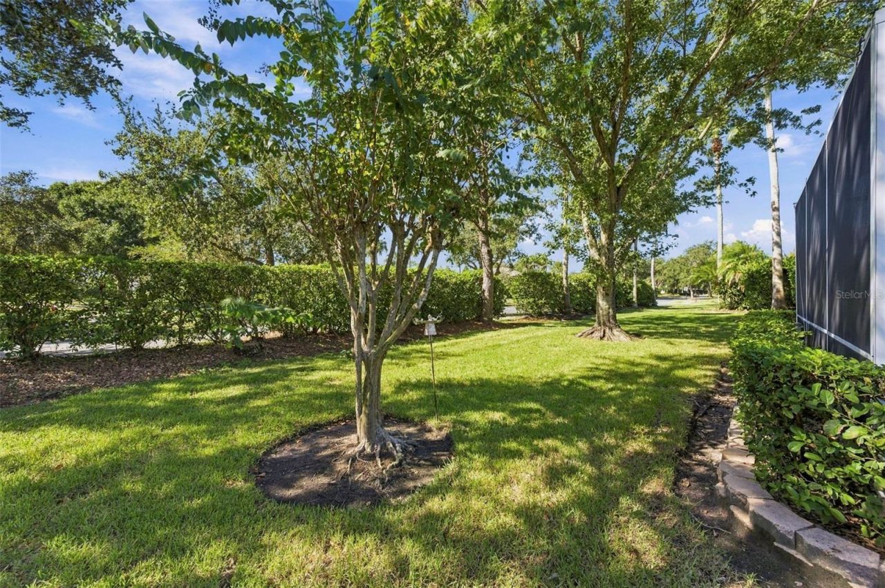 23442 Vistamar Court , Land O Lakes, FL 34639 Photo