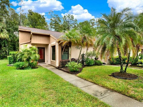 3433 HILLMOOR DRIVE , PALM HARBOR, FL 34685