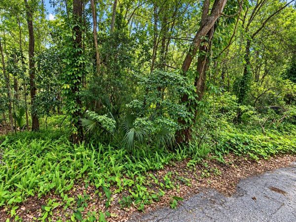 0 OLIVE STREET , BROOKSVILLE, FL 34601