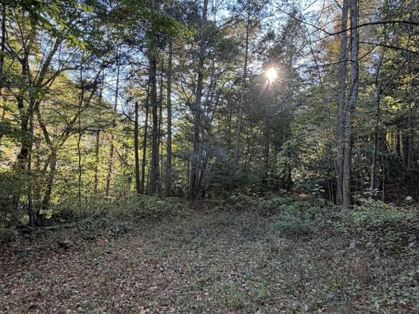N/A Yellow Creek Road, Wise, VA 24293
