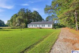 117 Clifton Rd photo 4